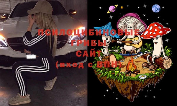 a pvp Арсеньев