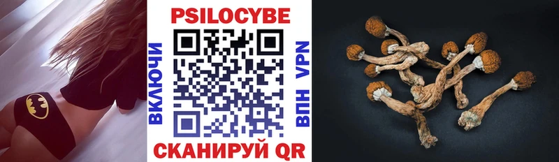 Купить закладки  Сердобск  Псилоцибиновые грибы мицелий 
